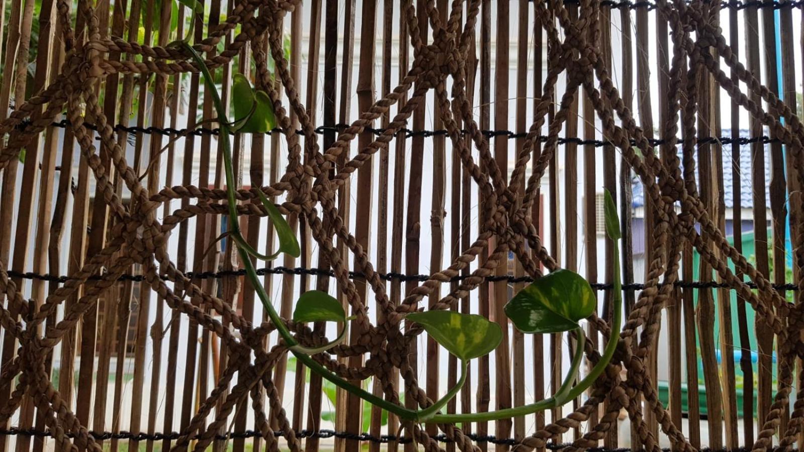 Bloom Garden Bed & Breakfast Siem Reap Extérieur photo