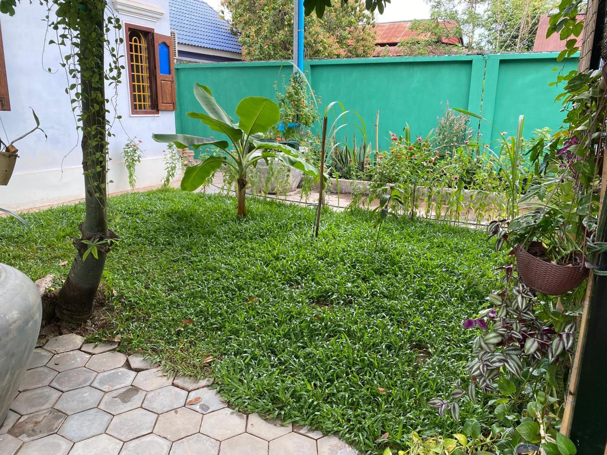 Bloom Garden Bed & Breakfast Siem Reap Extérieur photo