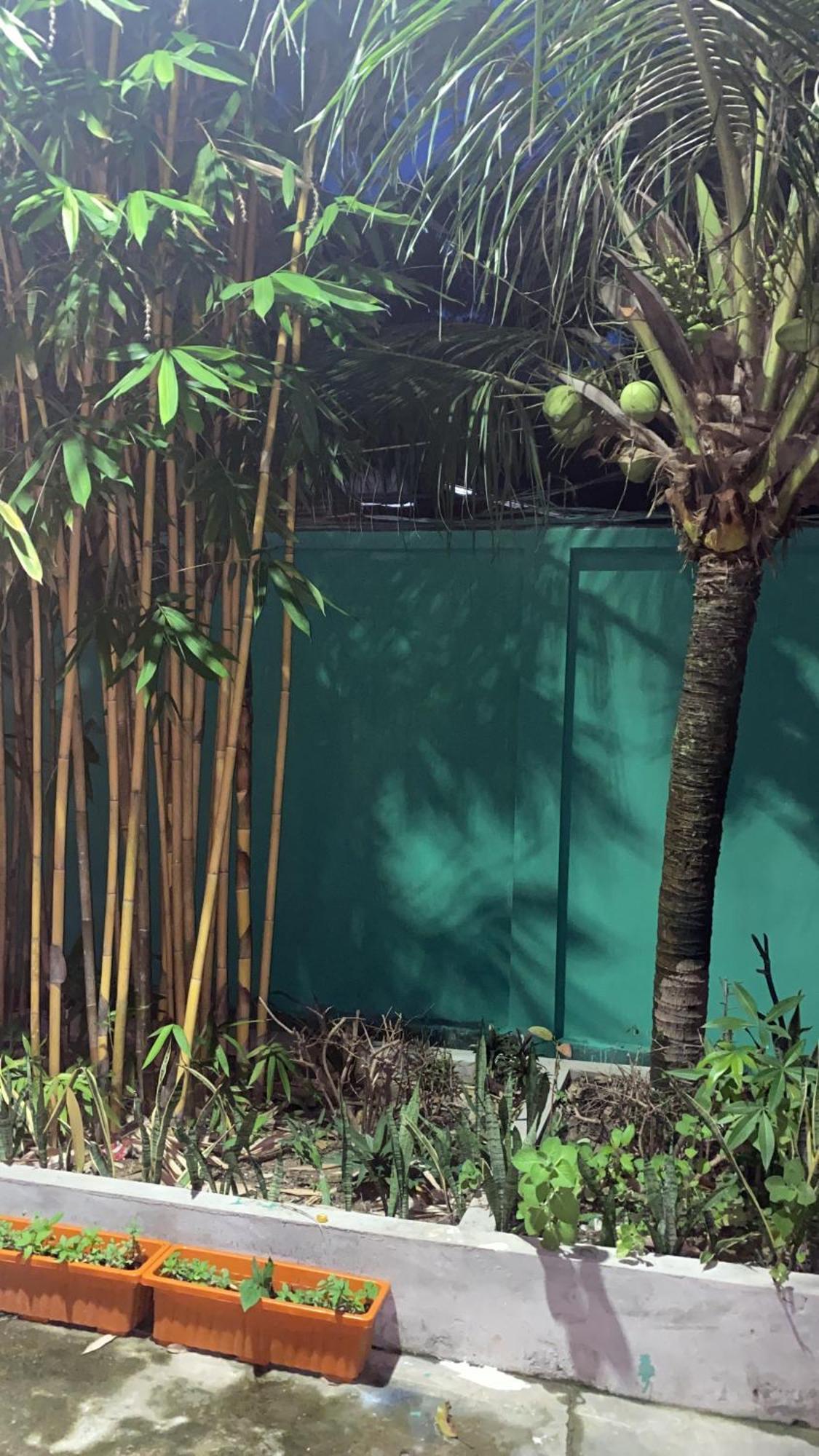 Bloom Garden Bed & Breakfast Siem Reap Extérieur photo