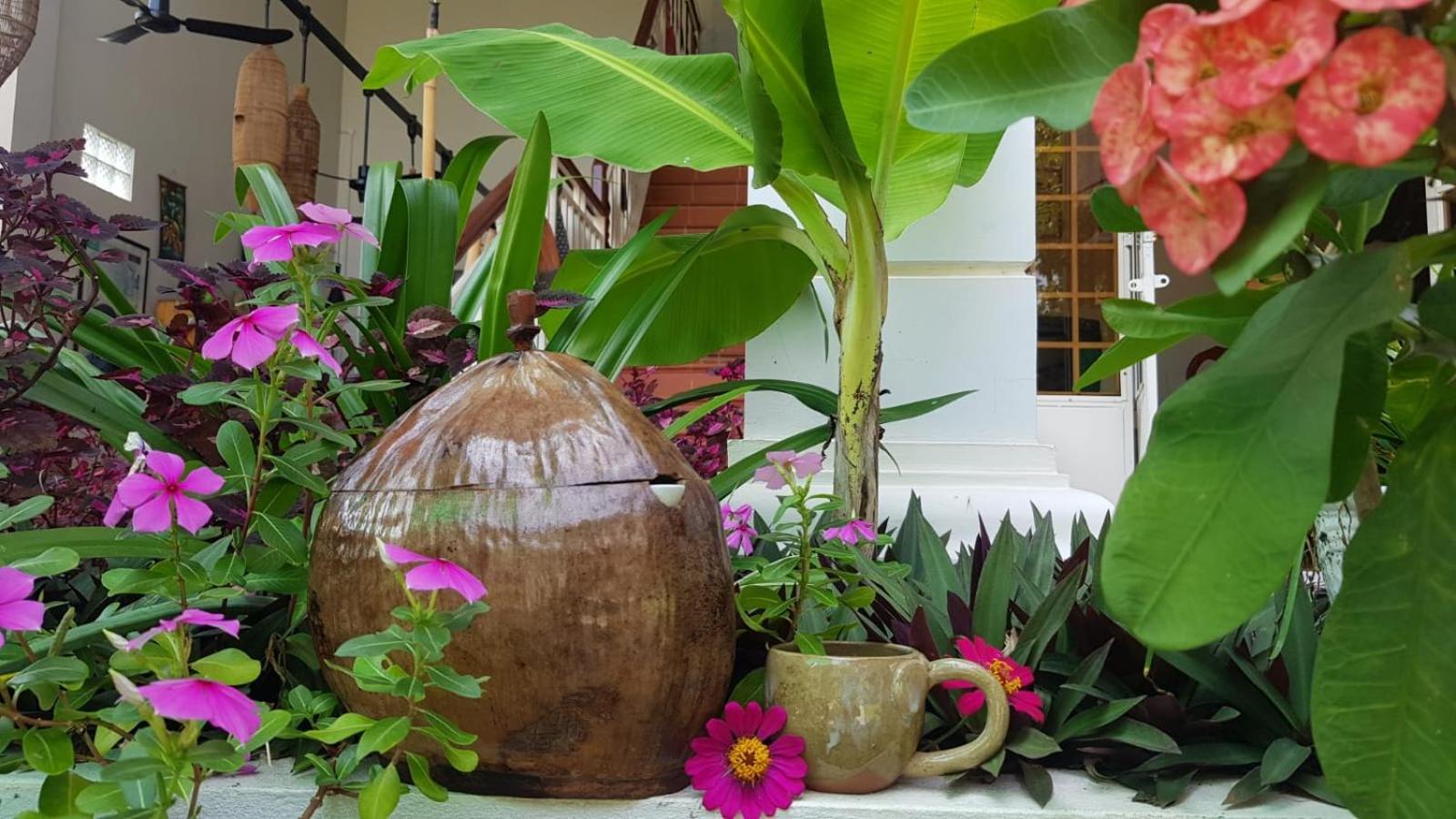 Bloom Garden Bed & Breakfast Siem Reap Extérieur photo